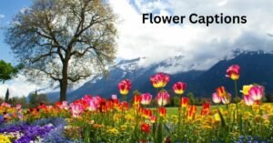 Flower Captions