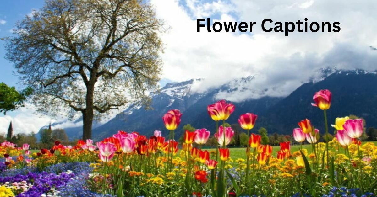 Flower Captions