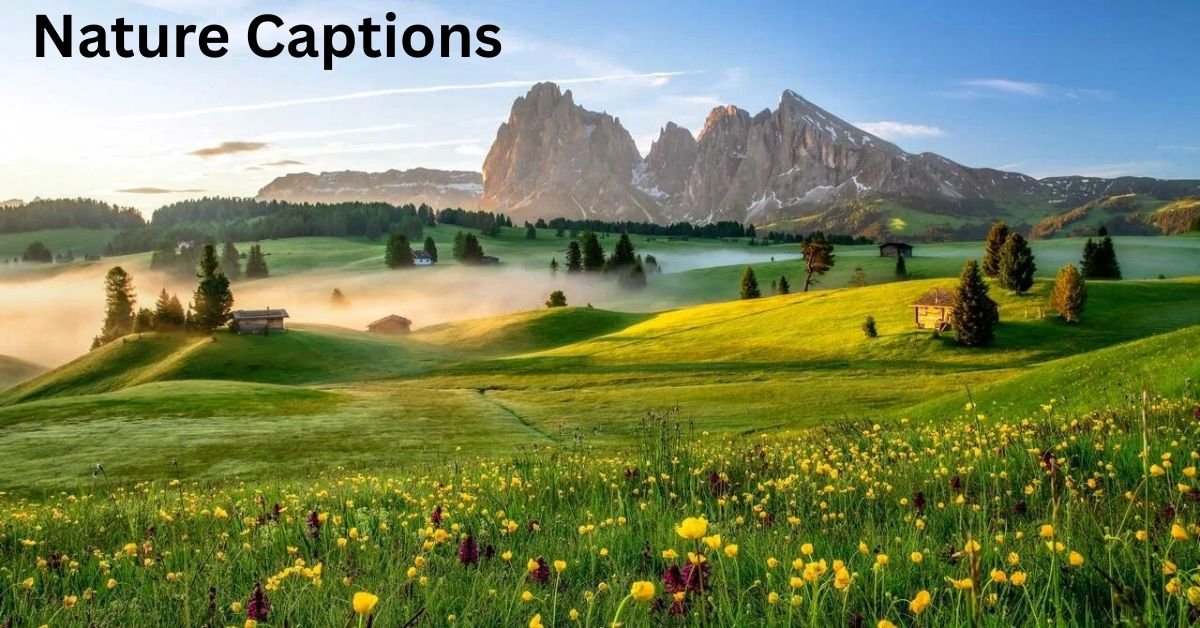Nature Captions